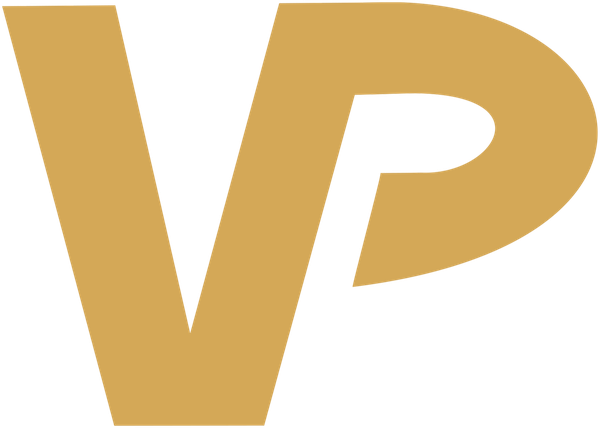 Vantage Point Inspections logo